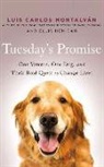 Ellis Henican, Luis Carlos Montalvan, Kevin Free - Tuesday's Promise: One Veteran, One Dog, and Their Bold Quest to Change Lives (Audio book)