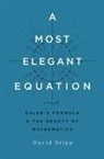 David Stipp - A Most Elegant Equation