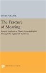David Pollack, Pollack David - Fracture of Meaning