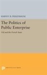 Harvey Feigenbaum, Harvey B. Feigenbaum, Harvey B. Feigenbaum - Politics of Public Enterprise