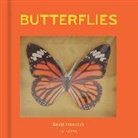David Hawcock - Butterflies