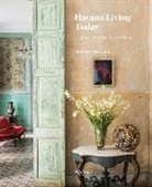 Hermes Mallea - Havana Living Today
