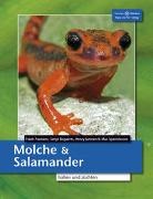 Serg Bogaerts, Sergé Bogaerts, Henry Janssen, Henry u a Janssen, Fran Pasmans, Frank Pasmans... - Molche und Salamander