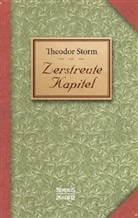 Theodor Storm - Zerstreute Kapitel
