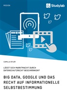 Camilla Efler - Big Data, Google und das Recht auf informationelle Selbstbestimmung