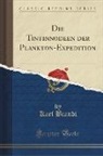 Karl Brandt - Die Tintinnodeen der Plankton-Expedition (Classic Reprint)