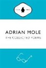 Sue Townsend - Adrian Mole: The Collected Poems