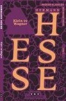 Hermann Hesse - Klein ve Wagner