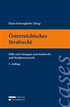 Margarethe Flora, Verena Murschetz, Andreas Scheil, Andreas Venier, Klaus Schwaighofer - Österreichisches Strafrecht