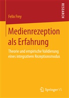 Felix Frey - Medienrezeption als Erfahrung