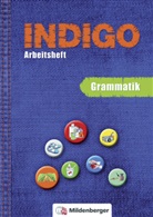 INDIGO - Das Wörterbuch mit Bildern: Arbeitsheft Grammatik
