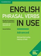 Michae McCarthy, Michael McCarthy, Felicity O'Dell - English Phrasal Verbs in Use Advanced 2nd Edition