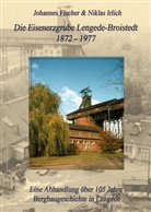Johanne Fischer, Johannes Fischer, Niklas Irlich - Die Eisenerzgrube Lengede-Broistedt 1872-1977