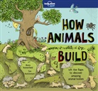 Moira Butterfield, Tim Hutchinson, Lonely Planet Kids, Lonely Planet Kids, Tim Hutchinson - How Animals Build 1st ed