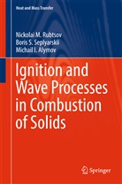 M Alymov, Michail I. Alymov, Nickolai Rubtsov, Nickolai M Rubtsov, Nickolai M. Rubtsov, Boris Seplyarskii... - Ignition and Wave Processes in Combustion of Solids