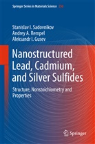 Al Gusev, Aleksandr I. Gusev, Andrey Rempel, Andrey A Rempel, Andrey A. Rempel, Stanislav Sadovnikov... - Nanostructured Lead, Cadmium, and Silver Sulfides