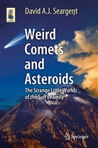 David A J Seargent, David A. J. Seargent - Weird Comets and Asteroids