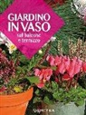 Giardino in vaso sul balcone e terrazzo