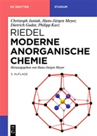 Dietri Gudat, Dietrich Gudat, Christop Janiak, Christoph Janiak, Philipp Kurz, Hans-Jürge Meyer... - Moderne Anorganische Chemie