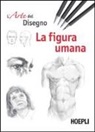 La figura umana. Esercizi. L'arte del disegno