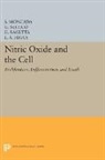 G. Bagetta, E. A. Higgs, S. Moncada, S. Nistico Moncada, G. Nistico, G. Bagetta... - Nitric Oxide and the Cell