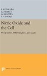 S. Moncada, S. Nistico Moncada, G. Bagetta, E A Higgs, S. Moncada, G. Nistico... - Nitric Oxide and the Cell