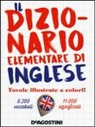 R. Viganò - Il dizionario elementare di inglese