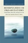 Jochen Reb, Jochen (Singapore Management University) Atki Reb, Paul W. B. Atkins, Paul W. B. (Australian National University Atkins, Jochen Reb, Jochen (Singapore Management University) Reb - Mindfulness in Organizations