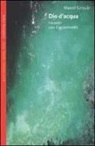 Marcel Griaule, B. Fiore - Dio d'acqua. Incontri con Ogotemmêli