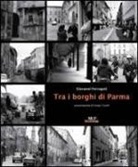 Giovanni Ferraguti - Tra i borghi di Parma