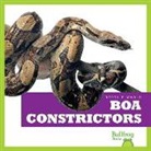 Imogen Kingsley - BOA CONSTRICTORS