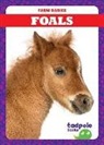 Tim Mayerling - FOALS