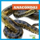 Imogen Kingsley - Anacondas (Anacondas)