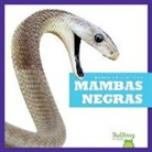 Imogen Kingsley - Mambas Negras (Black Mambas)
