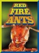 Scott Pearson - RED FIRE ANTS