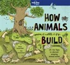Moira Butterfield, Lonely Planet Kids, Lonely Planet, Lonely Planet Kids, Lonely Planet Kids (COR), Tim Hutchinson - Lonely Planet Kids How Animals Build