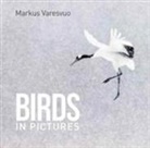 Markus Varesvuo, Markus Versevuo - Birds in Pictures