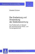 Elisabeth Schürer - Die Erarbeitung und Anwendung der Stellenbewertung