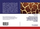 Irina Erohina, Alexandr Maximov, Alexandr Maximow - Plasticheskoe deformirovanie shirokogo brusa pri ciklicheskom izgibe