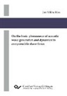 Jan-Niklas Hau - On the basic phenomena of acoustic wave generation and dynamics in compressible shear flows