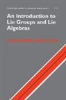 Alexander Kirillov, Jr Kirillov, Alexander Kirillov Jr - Introduction to Lie Groups and Lie Algebras