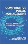 Kenneth J. (EDT)/ Rutherford Meier, Kenneth J. Rutherford Meier, Claudia N. Avellaneda, Kenneth J. Meier, Meier Kenneth J., Amanda Rutherford... - Comparative Public Management
