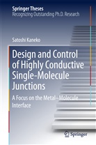 Satoshi Kaneko - Design and Control of Highly Conductive Single-Molecule Junctions