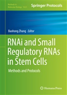 Baohon Zhang, Baohong Zhang - RNAi and Small Regulatory RNAs in Stem Cells