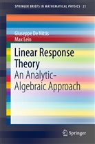 Giusepp De Nittis, Giuseppe De Nittis, Max Lein - Linear Response Theory