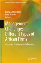 Leon Achtenhagen, Leona Achtenhagen, Brundin, Brundin, Ethel Brundin - Management Challenges in Different Types of African Firms