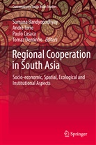 Sumana Bandyopadhyay, Paulo Casaca, Paulo Casaca et al, Tomaz Dentinho, Andr Torre, André Torre - Regional Cooperation in South Asia