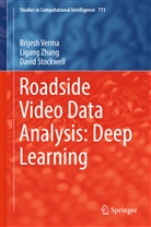 David Stockwell, Brijes Verma, Brijesh Verma, Ligan Zhang, Ligang Zhang - Roadside Video Data Analysis