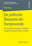 Tobias Haas - Die politische Ökonomie der Energiewende