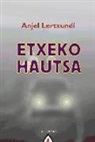 Anjel Lertxundi Esnal - Etxeko hautsa
